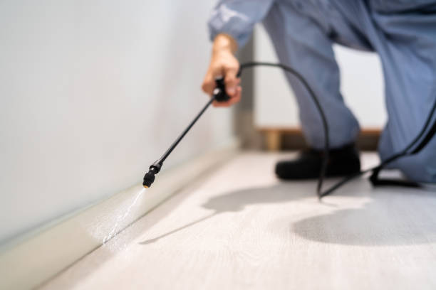 Licensed Pest Control service in Portsmouth, NH - Show Me Pest Control