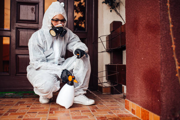 Reliable Wasp Removal contractor in Portsmouth, NH by Show Me Pest Control